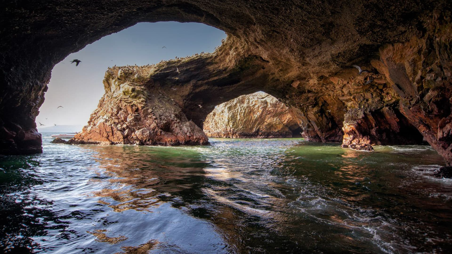 Islas Ballestas - Paracas