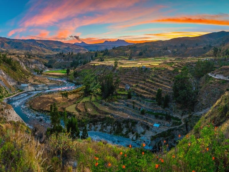 Arequipa y Cañón del Colca